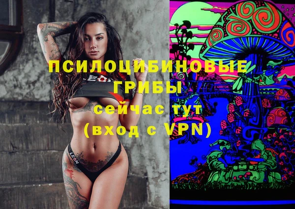 мяу мяу мука Абдулино